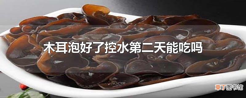 木耳泡好了控水第二天能吃吗