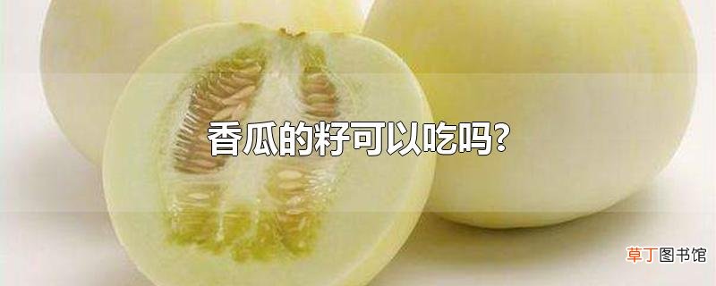 香瓜的籽可以吃吗?