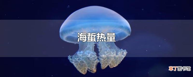 海蜇热量