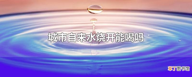 城市自来水烧开能喝吗