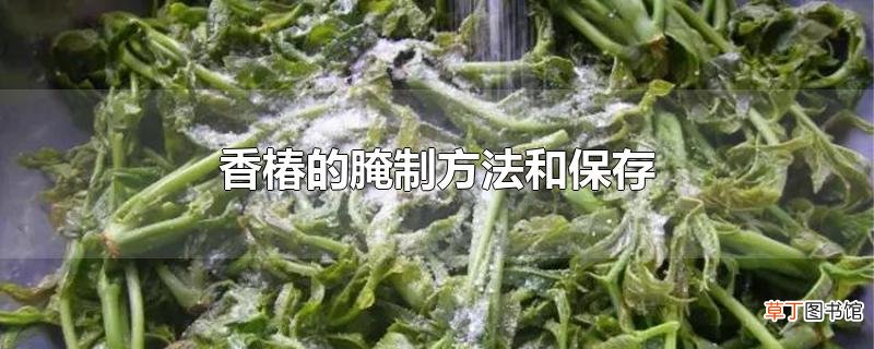 香椿的腌制方法和保存