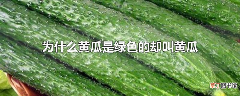 为什么黄瓜是绿色的却叫黄瓜