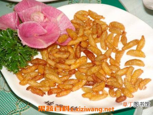 黄蜂蛹的功效与作用 吃黄蜂蛹的好处