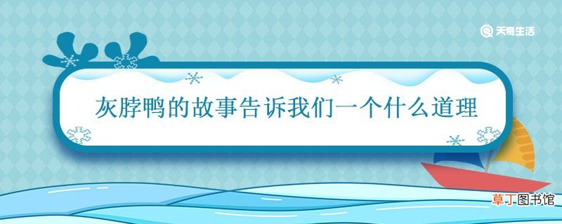灰脖鸭的故事告诉我们一个什么道理 灰脖鸭主要内容