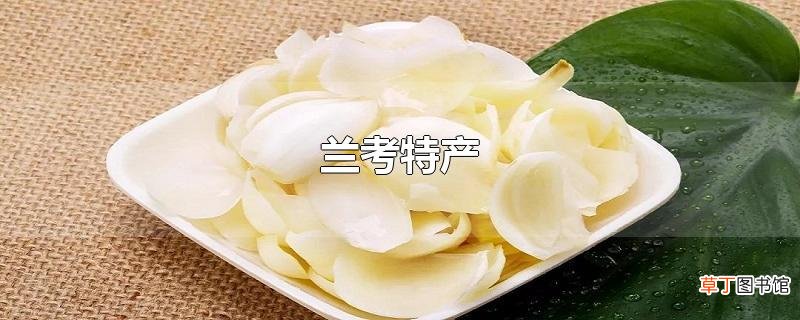 兰考特产