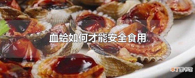 血蛤怎么才能安全食用