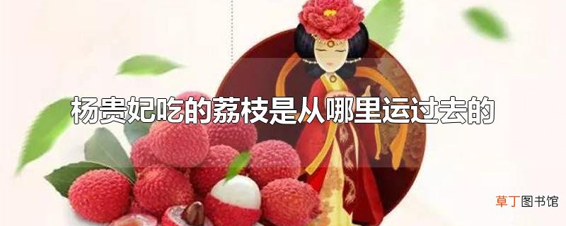 杨贵妃吃的荔枝是从哪里运过去的