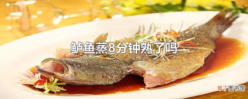鲈鱼蒸8分钟熟了吗