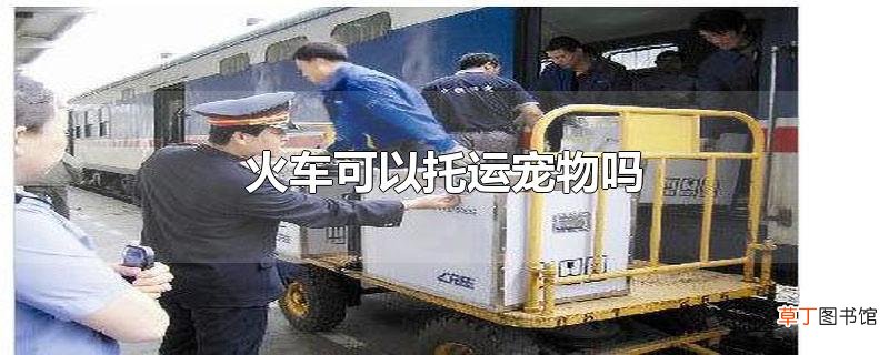 火车可以托运宠物吗