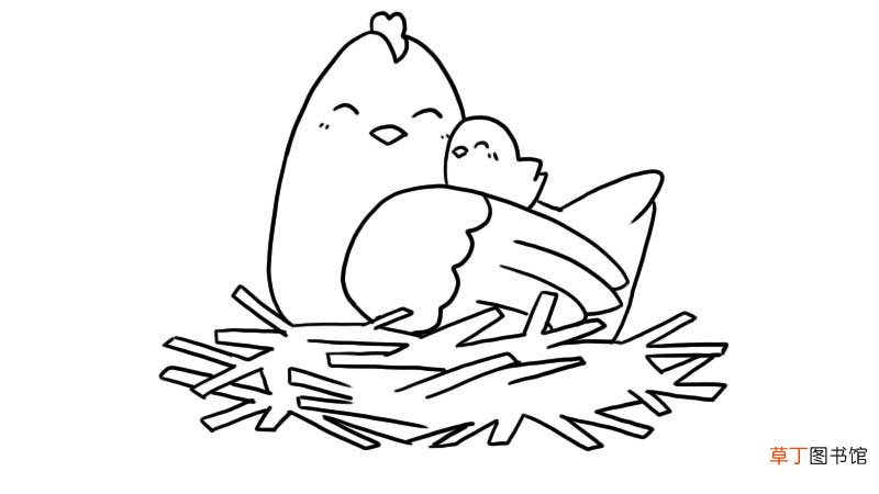 母鸡和小鸡简笔画 母鸡和小鸡简笔画怎么画