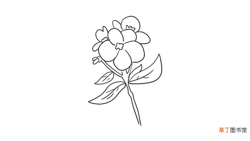 紫罗兰简笔画 紫罗兰怎么画