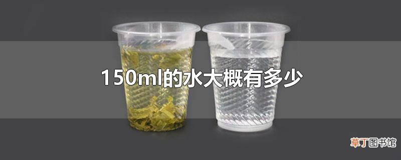 150ml的水大概有多少