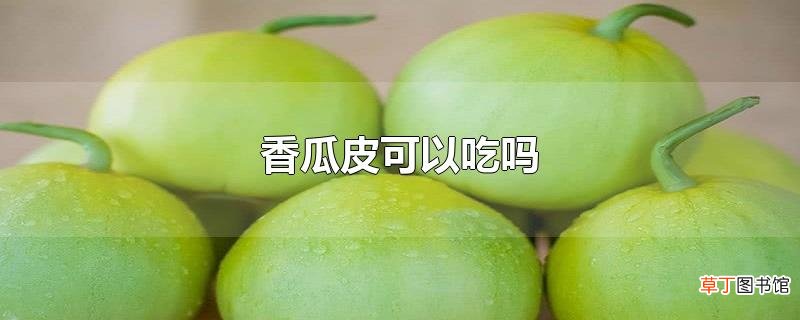 香瓜皮可以吃吗