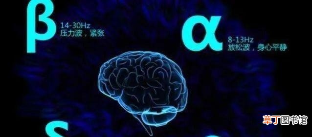 阿尔法脑波音乐的作用 阿尔法脑波胎教音乐