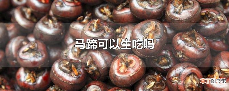 马蹄可以生吃吗