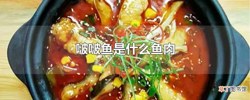 啵啵鱼是什么鱼肉