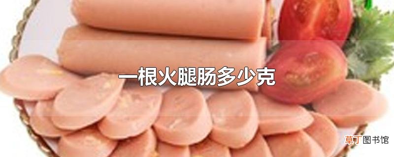 一根火腿肠多少克