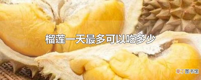 榴莲一天最多可以吃多少