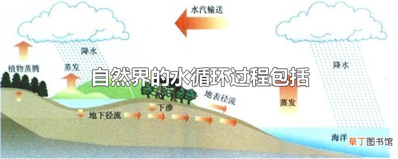 自然界的水循环过程包括