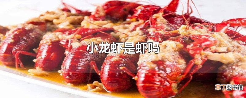 小龙虾是虾吗
