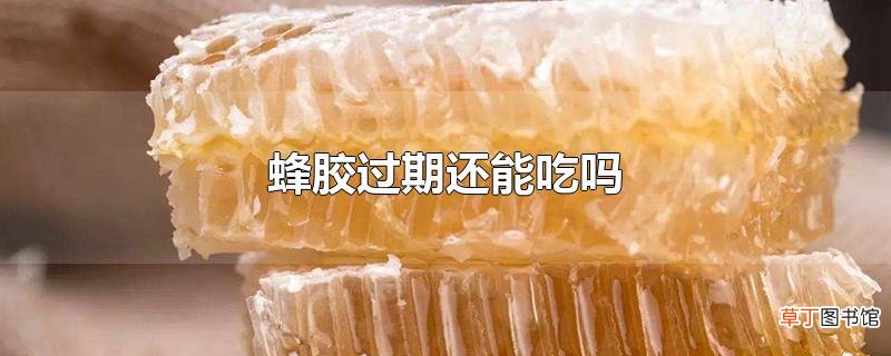 蜂胶过期还能吃吗