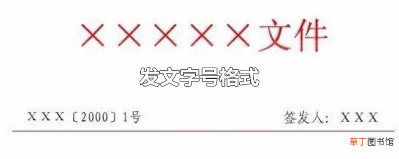 发文字号格式