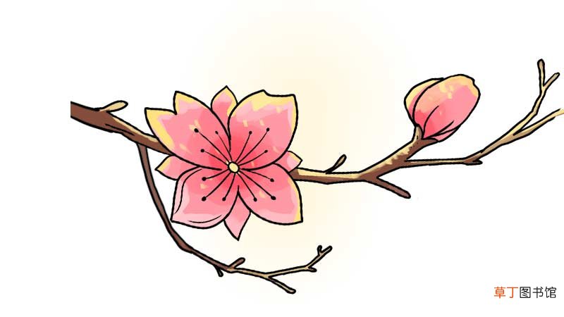 桃花简笔画 桃花简笔画怎么画