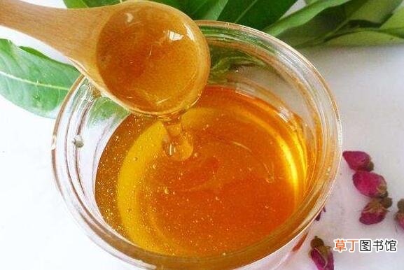 蜂蜜敷皮肤的作用与功效 蜂蜜怎么敷皮肤