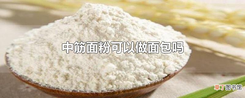 中筋面粉可以做面包吗