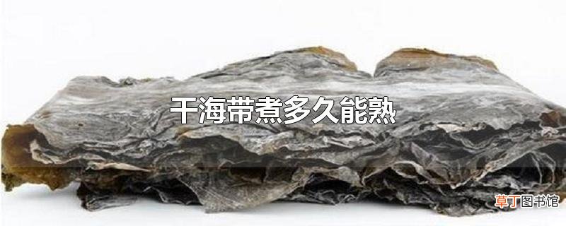 干海带煮多久能熟