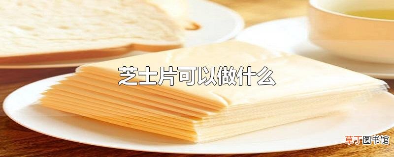 芝士片可以做什么