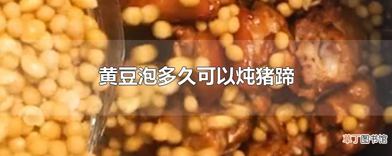 黄豆泡多久可以炖猪蹄