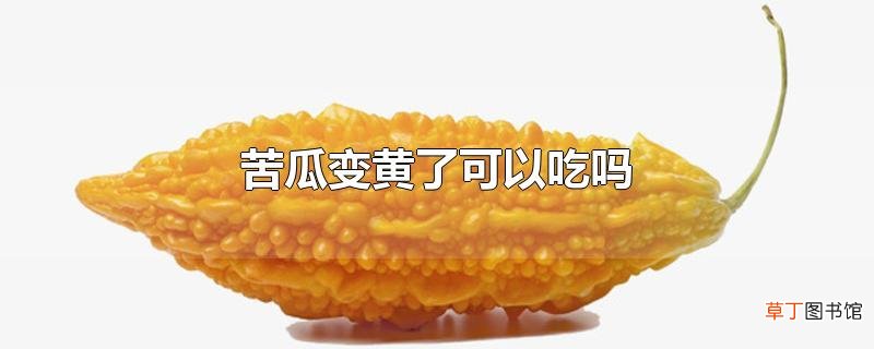 苦瓜变黄了可以吃吗