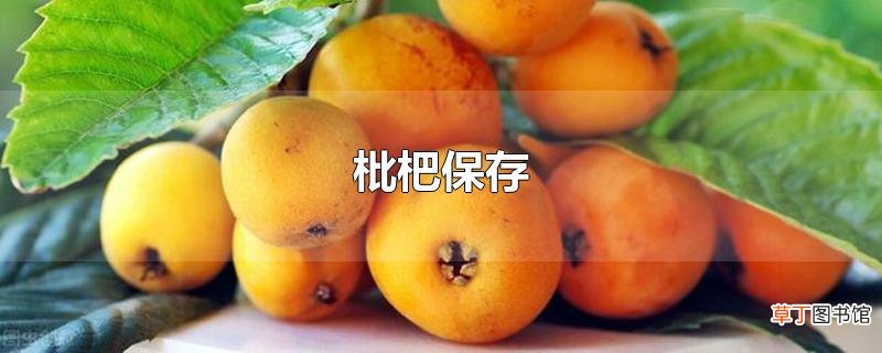 枇杷保存