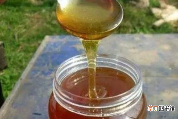 酸枣花蜜的功效与作用及药用价值