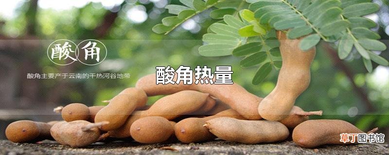 酸角热量