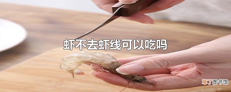 虾不去虾线可以吃吗