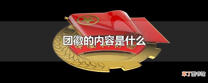 团徽的内容是什么