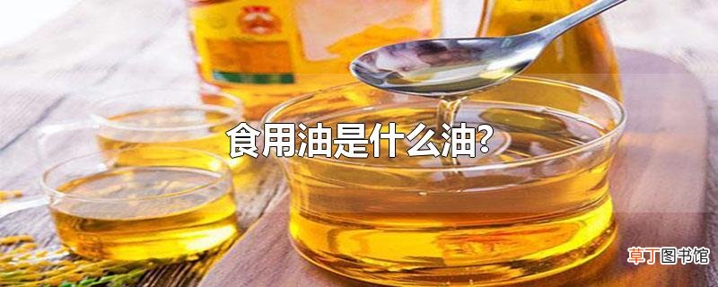 食用油是什么油?