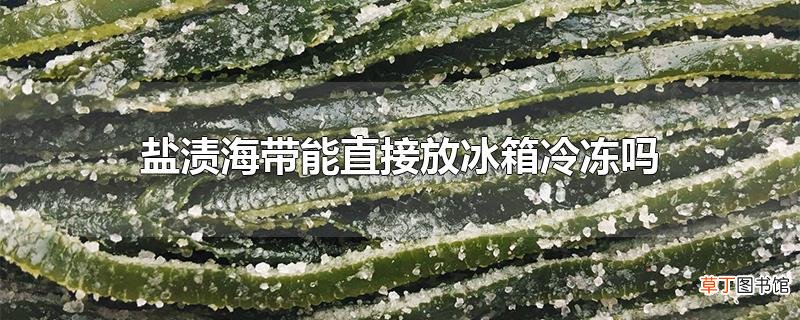 盐渍海带能直接放冰箱冷冻吗