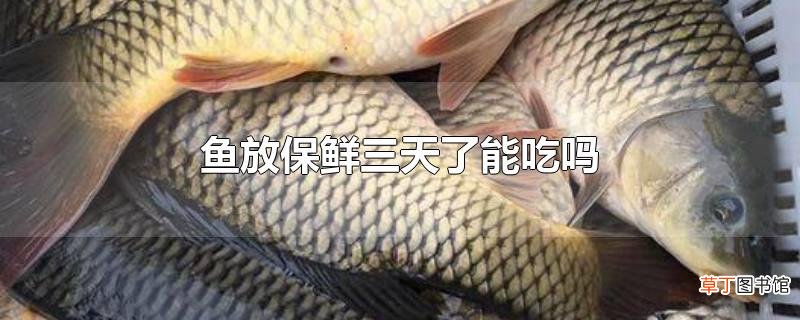 鱼放保鲜三天了能吃吗