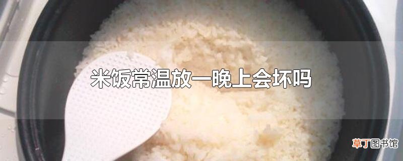 米饭常温放一晚上会坏吗