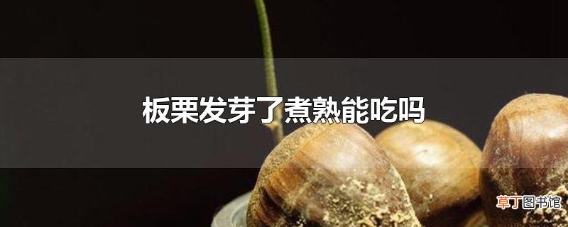 板栗发芽了煮熟能吃吗