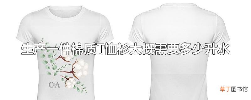 生产一件棉质T恤衫大概需要多少升水