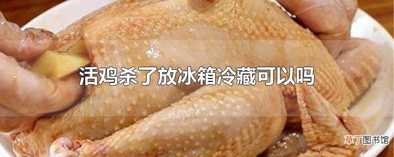 活鸡杀了放冰箱冷藏可以吗