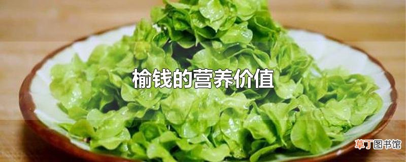 榆钱的营养价值