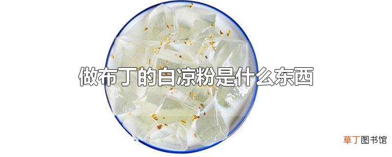 做布丁的白凉粉是什么东西
