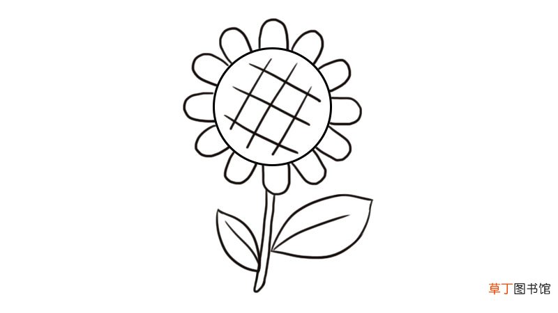 卡通向日葵图片简笔画