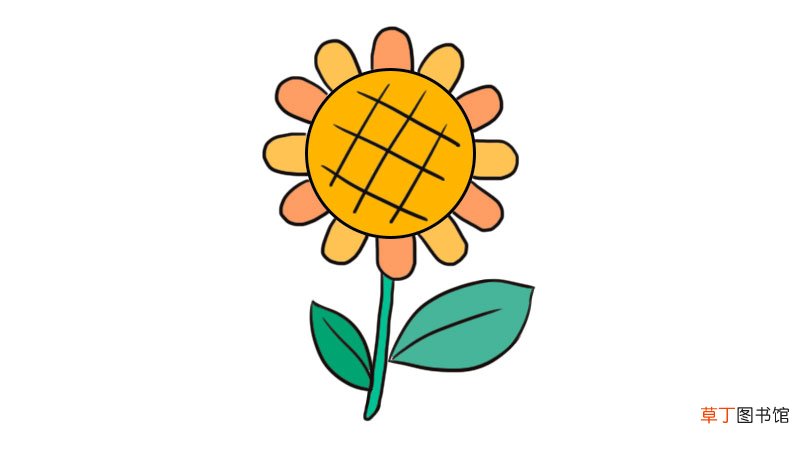 卡通向日葵图片简笔画