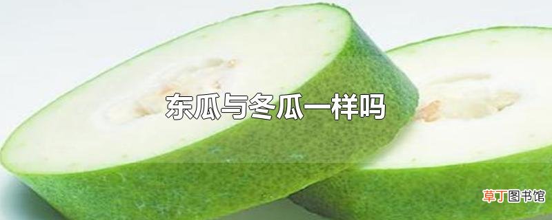 东瓜与冬瓜一样吗